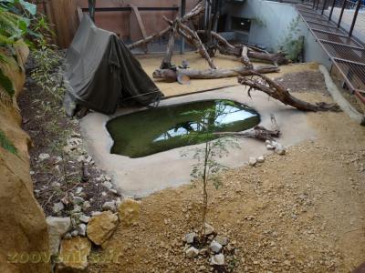 Futur espace des iguanes et téjus