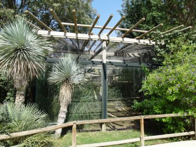 Ara chloroptère - Tortue de Floride - 2016