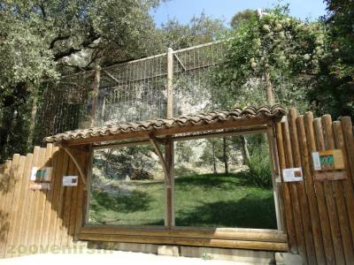 Loup à crinière - 2016