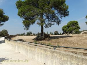 Plaine africaine