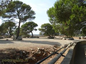 Plaine africaine