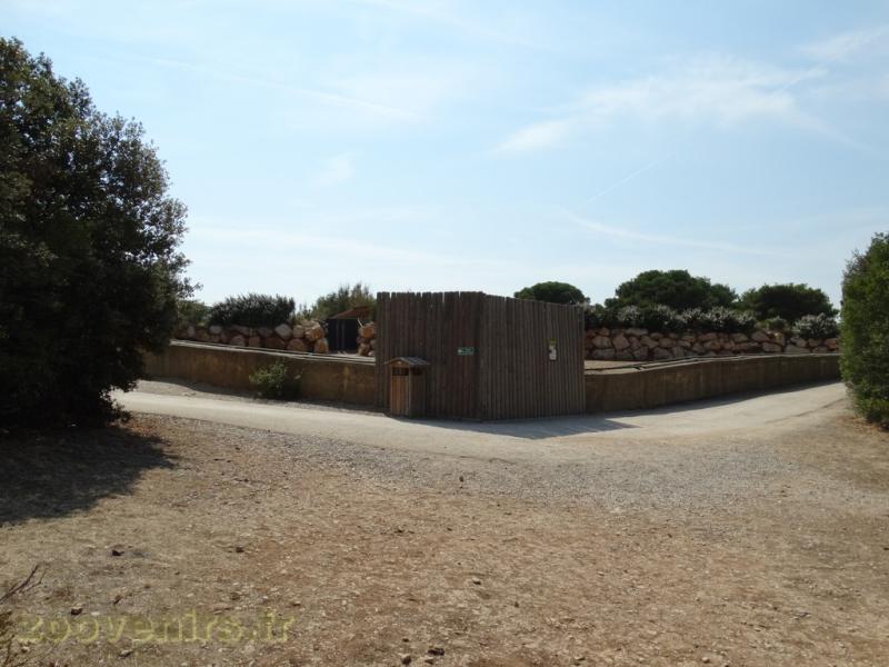 Plaine africaine