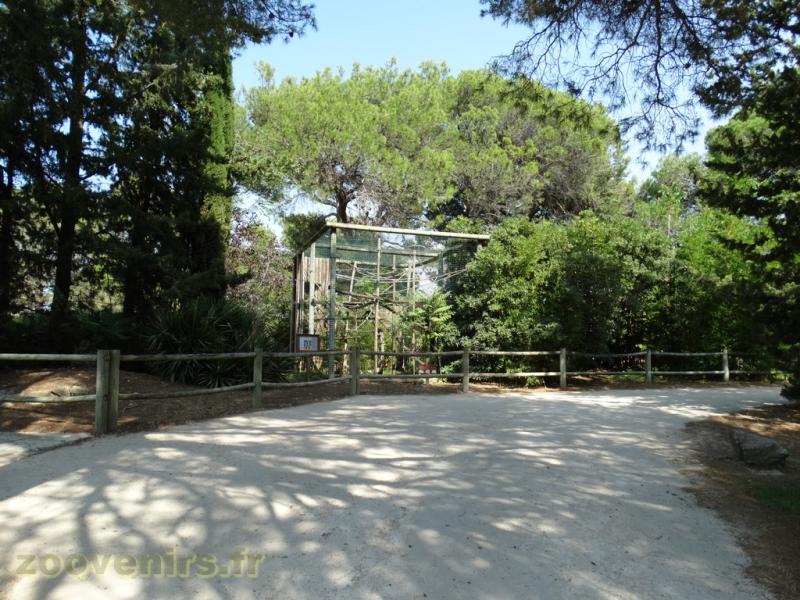 Saïmiri