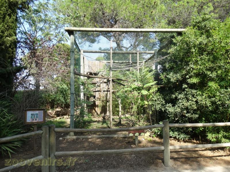 Saïmiri