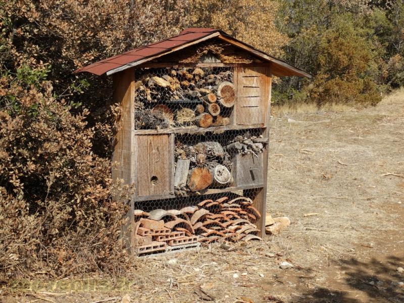 Hotel à insectes