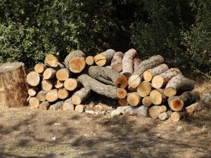 Abri à hérisson