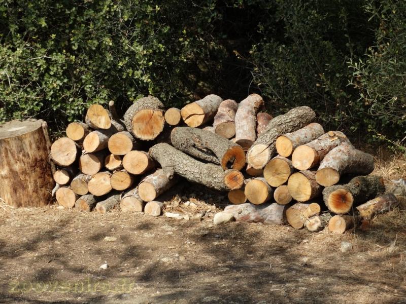 Abri à hérisson