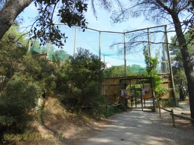 Vautour fauve - Vautiour africain - 2016