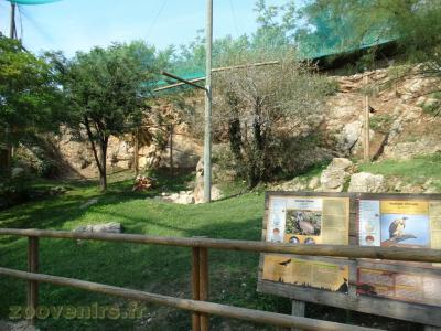 Vautour fauve - Vautiour africain - 2016