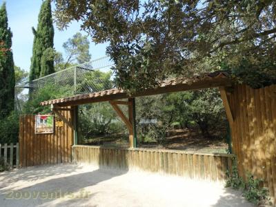 Lynx d'Europe - 2016