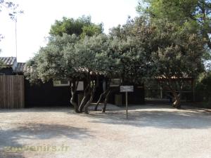 Le lodge