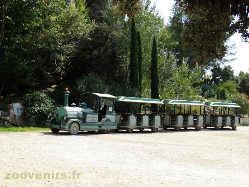 Petit train