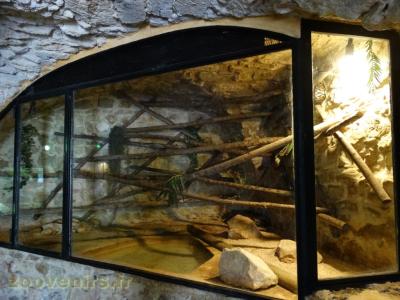 Python réticulé - 2016