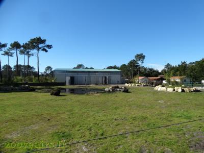 Éléphant d'Afrique - 2017