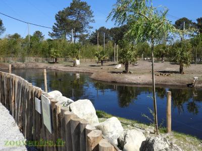 Vue générale - 2017