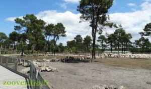Plaine africaine