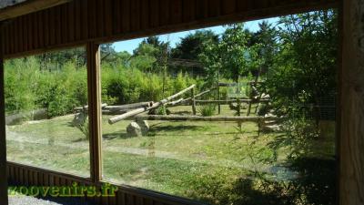 Panthère du Sri Lanka - 2017