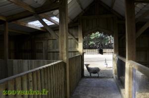 Mini-ferme