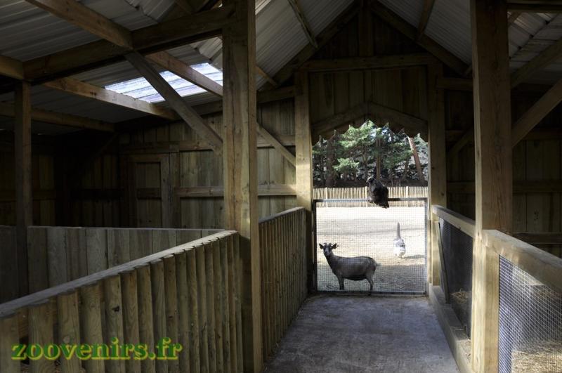 Mini-ferme