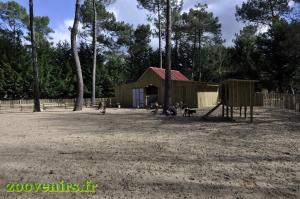 Mini-ferme