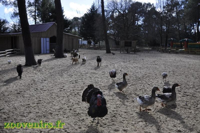 Mini-ferme