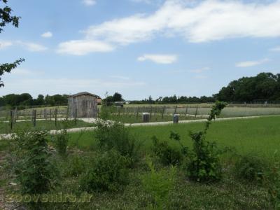 Vue générale de la ferme - 2009