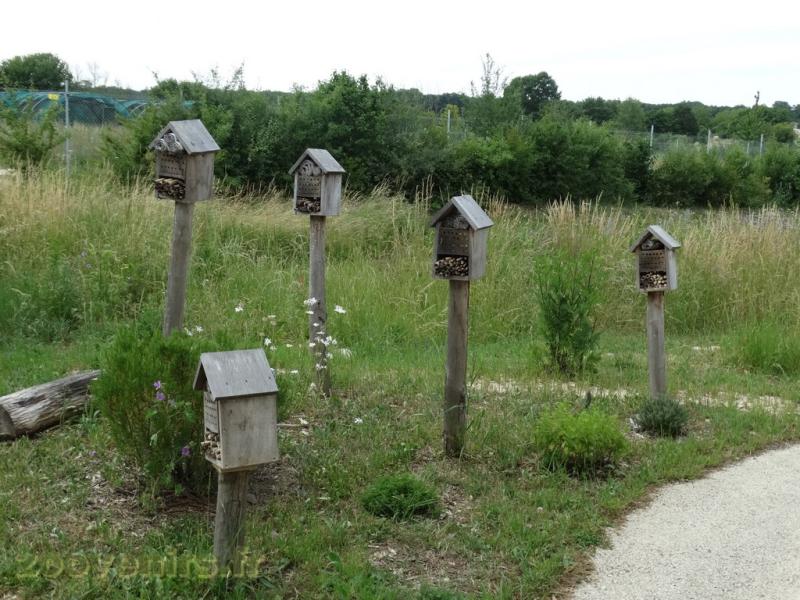 Hôtel à insectes