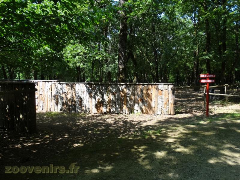 Observatoire des bisons d'Europe