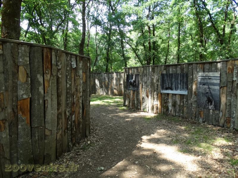 Observatoire des bisons d'Europe