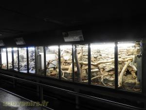 Vivarium
