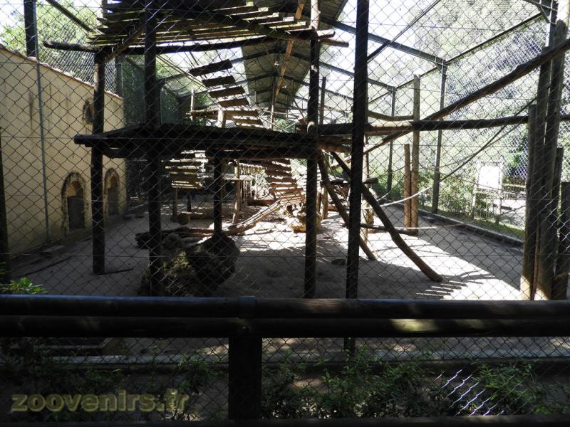 Mandrill