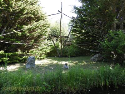 Gibbon à favoris blancs - 2016