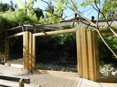 Chat pécheur - 2016