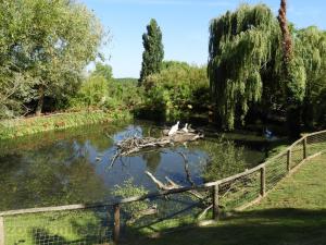 Pélican