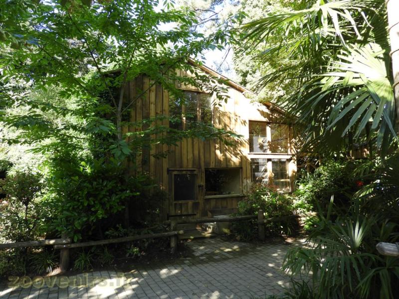 Saïmiri