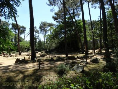 Éléphant d'Afrique - 2016