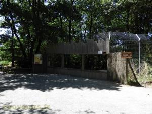 Tigre de Malaisie