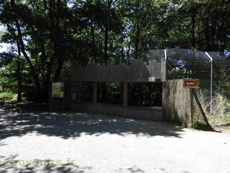 Tigre de Malaisie