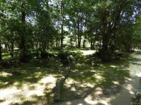 Tigre de Malaisie - 2017