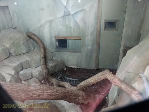 Python molure