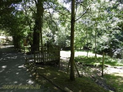 Grue du Japon - 2017