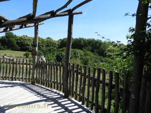 Ours baribal - Loup 