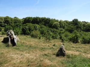 Ours baribal - Loup 