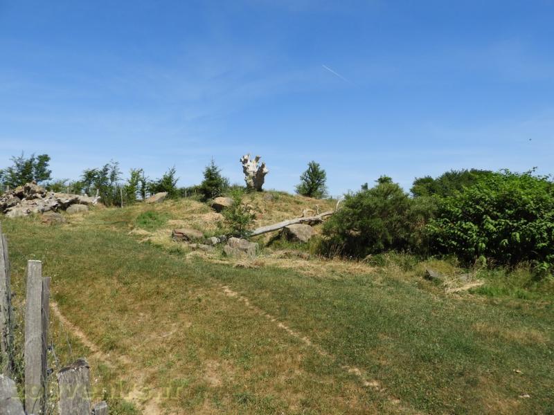 Ours baribal - Loup 