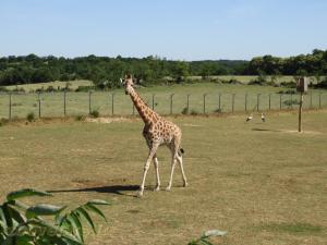 Plaine africaine