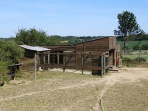 Plaine africaine
