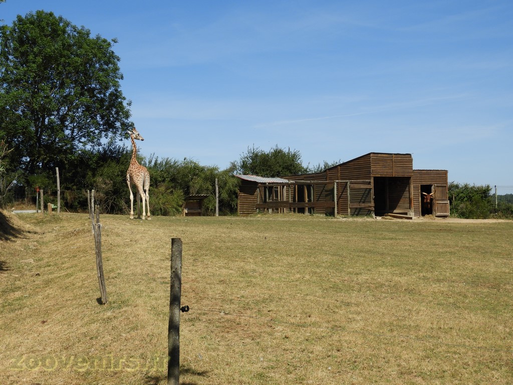 Plaine africaine - 2017
