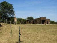 Plaine africaine - 2017