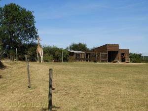 Plaine africaine