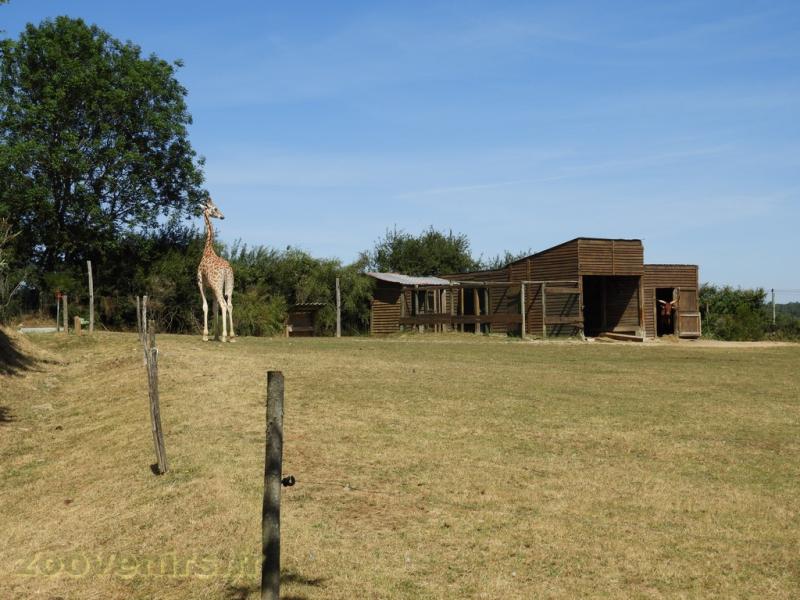 Plaine africaine